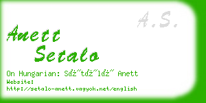 anett setalo business card